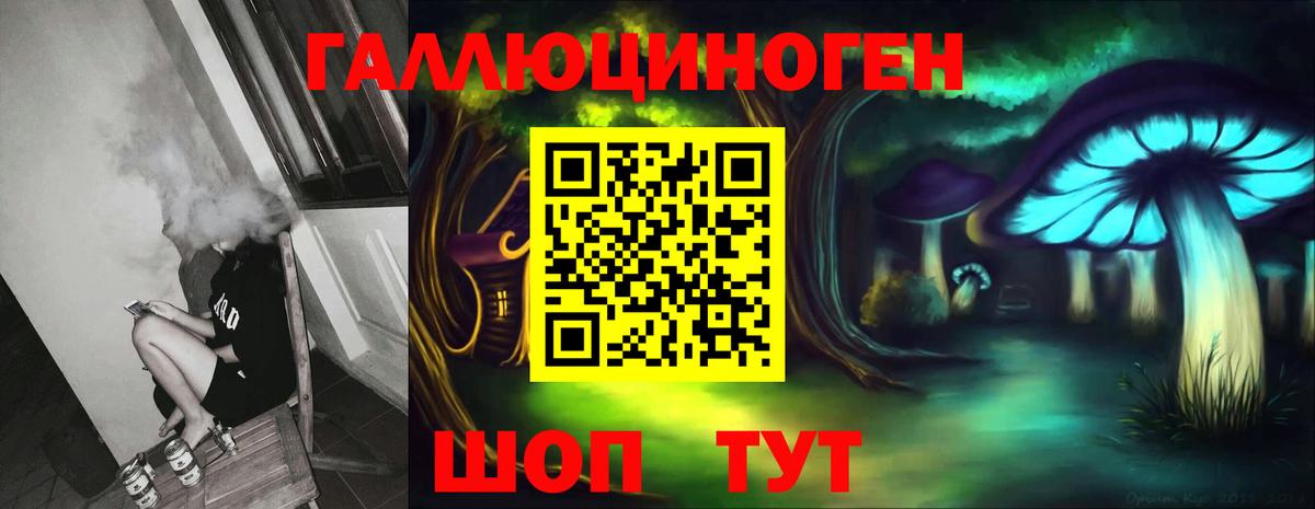 дарнет шоп  Псилоцибиновые грибы ЛСД  Вход с VPN  Галлюциногенные грибы Psilocybe  Ишимбай 